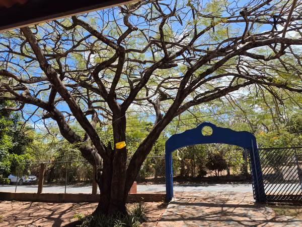 VENDO Playa Corona steps from the sea, House a 4R3B floor and beautiful trees.