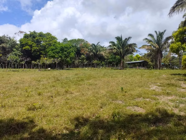 Hermosa Finca Plana en La Chorrera