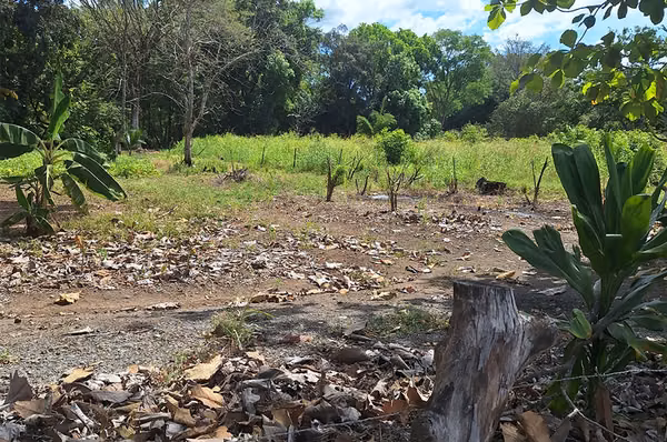 Chiriquí, David