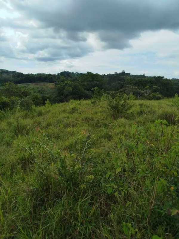 Last price 16.5 hectares in jets. O P O R T U N I D A!!