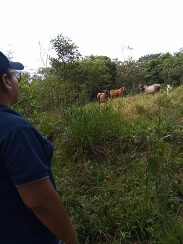 Last price 16.5 hectares in jets. O P O R T U N I D A!!