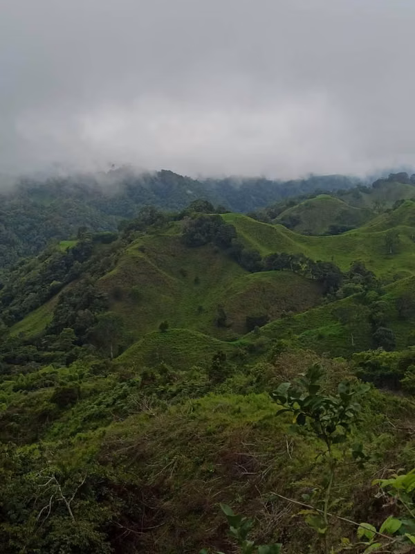 10 hect. Espectacular finca en vía Volcán, Primavera de Caisán, Chiriquí