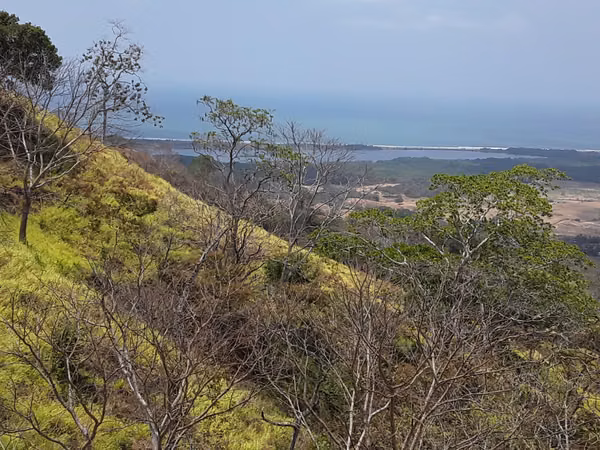 "CANAS OCEAN VIEW- LARGE PROPERTIES") PLAYA VENAO SECTOR !! BARGAIN PRICE!!