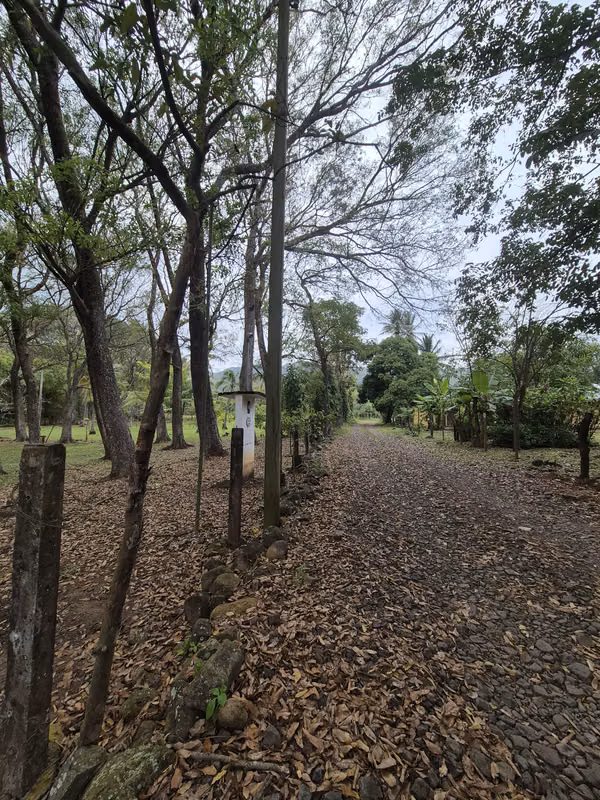 SE VENDE FINCA con alto potencial  EN BEJUCO.   CHAME