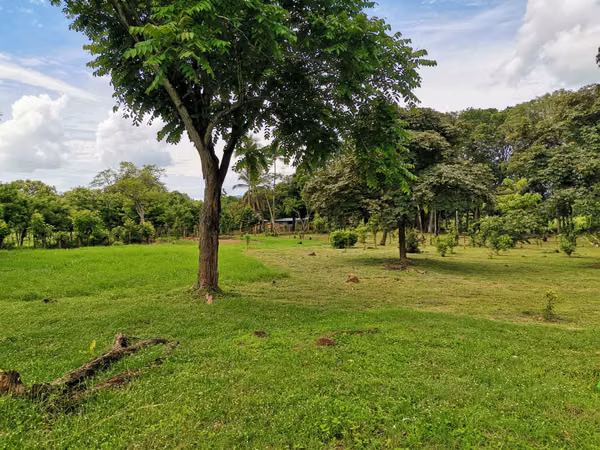 SE VENDE FINCA con alto potencial  EN BEJUCO.   CHAME