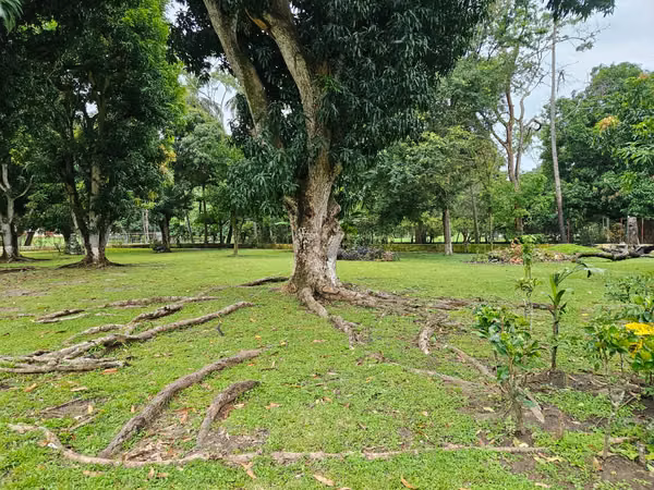 GORGONA CASA FINCA EN ALQUILER