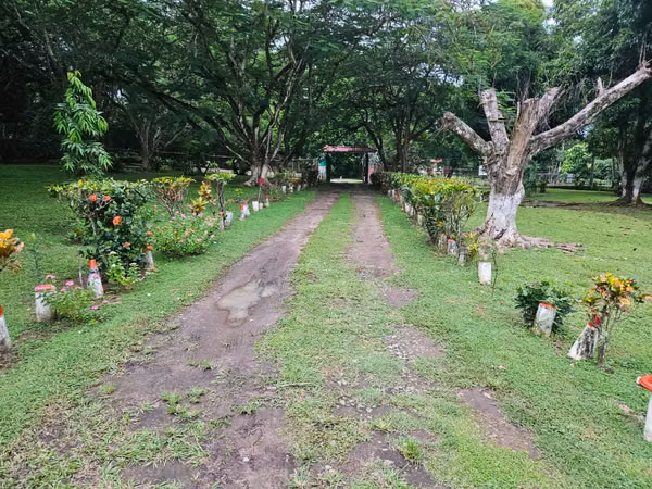GORGONA CASA FINCA EN ALQUILER
