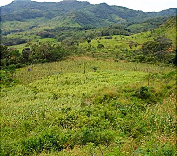 200-HECTARE FARM WITH PRIVATE WATERFALLS, NATURAL SPRINGS AND OCEAN VIEWS – VERAGUAS, PANAMA