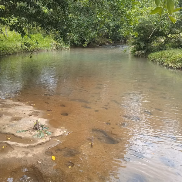 200-HECTARE FARM WITH PRIVATE WATERFALLS, NATURAL SPRINGS AND OCEAN VIEWS – VERAGUAS, PANAMA