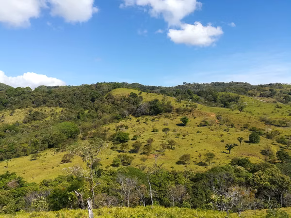 200-HECTARE FARM WITH PRIVATE WATERFALLS, NATURAL SPRINGS AND OCEAN VIEWS – VERAGUAS, PANAMA