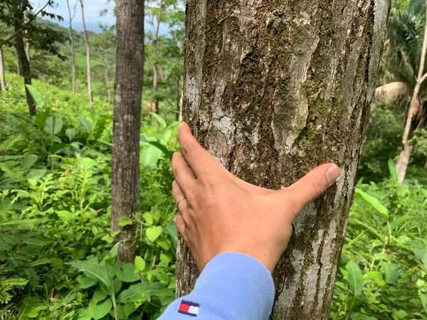 200-HECTARE FARM WITH PRIVATE WATERFALLS, NATURAL SPRINGS AND OCEAN VIEWS – VERAGUAS, PANAMA