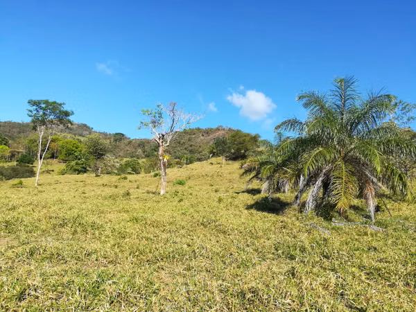 200-HECTARE FARM WITH PRIVATE WATERFALLS, NATURAL SPRINGS AND OCEAN VIEWS – VERAGUAS, PANAMA