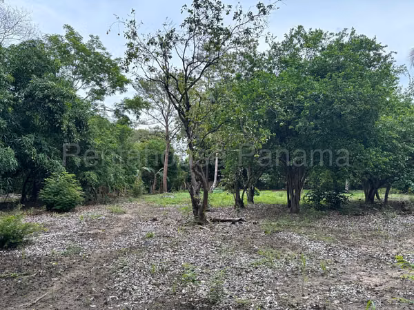 Land for sale in Gorgona OF26-8527