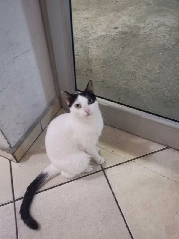Busco nuevo hogar
