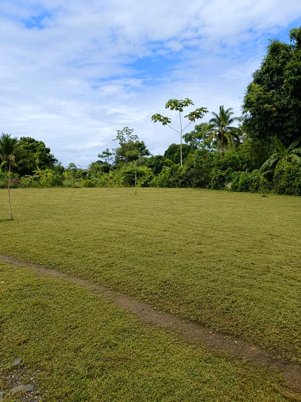 FOR SALE: 2 HECTARES WITH 1,026 METERS IN NUEVO SAN JUAN COLON