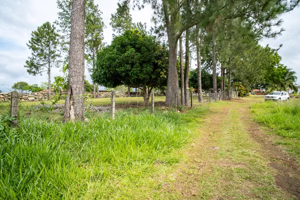 Lot in Potrerillos Down