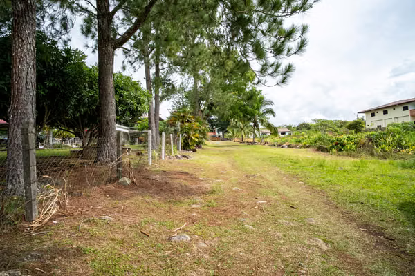 Lot in Potrerillos Down