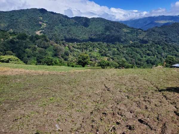 Se vende 10 hectáreas. Boquete los Naranjos  16.00 mt2