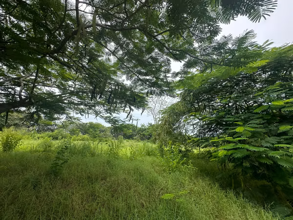 VENTA DE TERRENO EN PUNTA ROCA - SAN CARLOS CON ACCESO A LA PLAYA