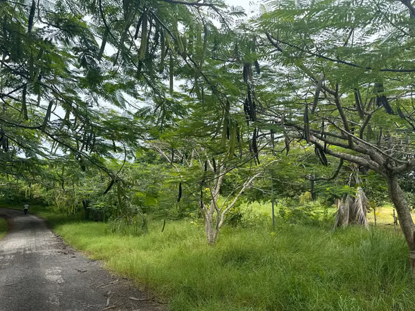 VENTA DE TERRENO EN PUNTA ROCA - SAN CARLOS CON ACCESO A LA PLAYA