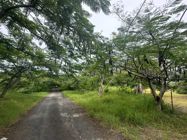 SALE OF LAND IN POINT ROCK - SAN CARLOS WITH ACCESS TO THE BEACH