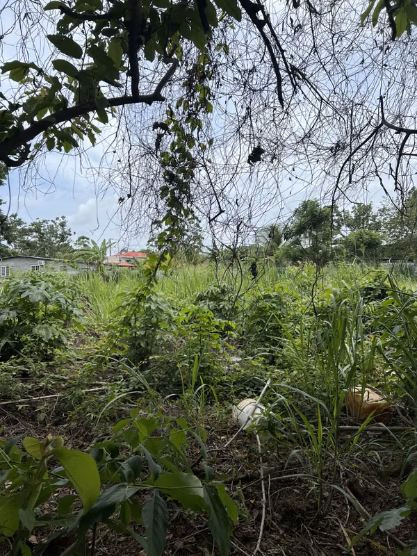 Vendo Terreno en La Chorrera