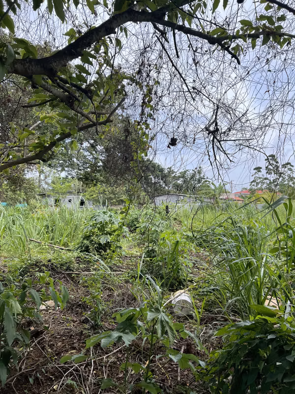 Vendo Terreno en La Chorrera