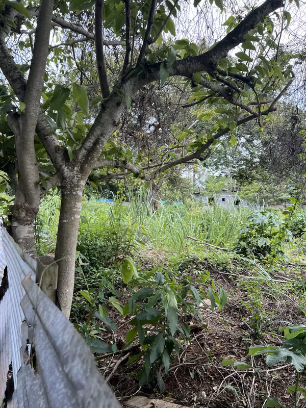 Vendo Terreno en La Chorrera