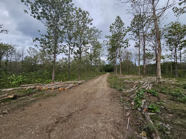 Venta de Terreno en Colón, Vía Gatuncillo, Salamanca. SD
