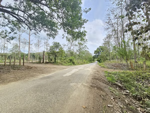 Venta de Terreno en Colón, Vía Gatuncillo, Salamanca. SD