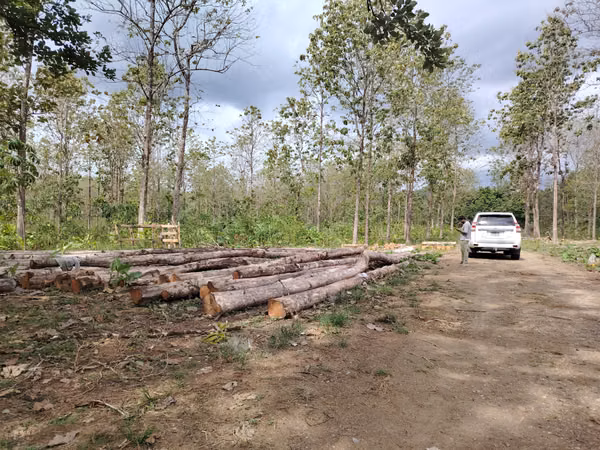 Venta de Terreno en Colón, Vía Gatuncillo, Salamanca. SD