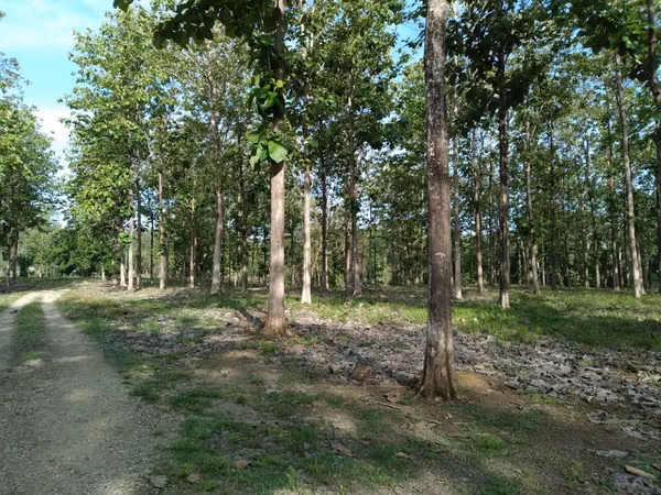 Venta de Terreno en Colón, Vía Gatuncillo, Salamanca. SD