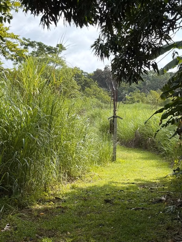 Se VENDEN FINCA DE 5 HAS 3,700 mts 2