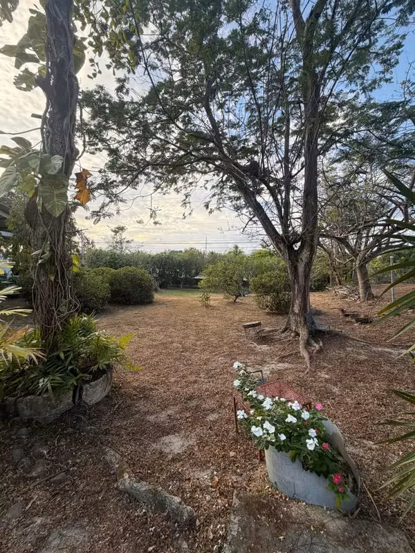 San Carlos, Punta Barco