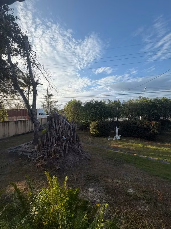 San Carlos, Punta Barco