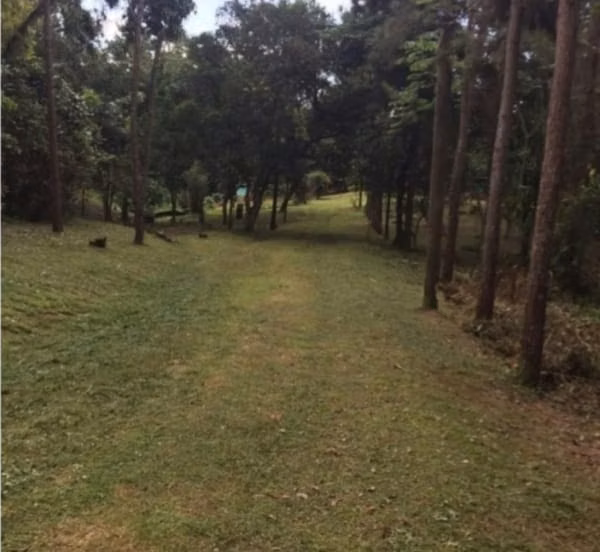 PREMIUM INDUSTRIAL & LOGISTICS LAND! 14-HECTARE TITLED LOT IN RÍO CONGO, LA CHORRERA