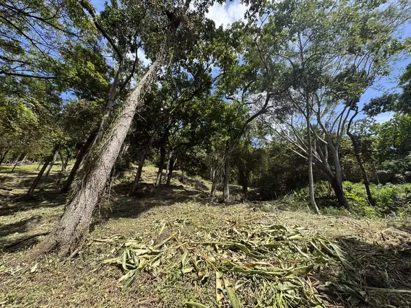 Rebajado Terreno en Venta en Altos del Maria – Lucca