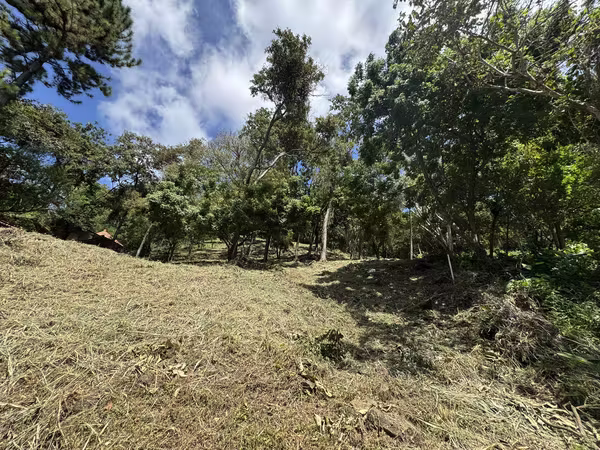 Rebajado Terreno en Venta en Altos del Maria – Lucca
