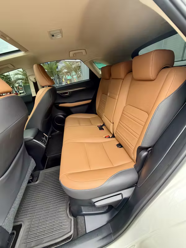 LEXUS NX300H 2019