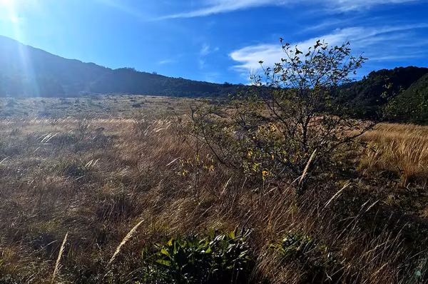 Chiriquí, Volcán, Paso Ancho