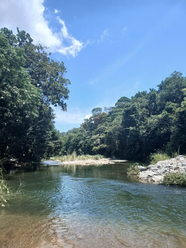 ¡Tu refugio natural te espera en RiverVillage!