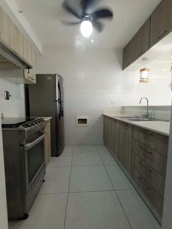 PH Vivendi Green Apartment for Amoblado Rental in Edison Park
