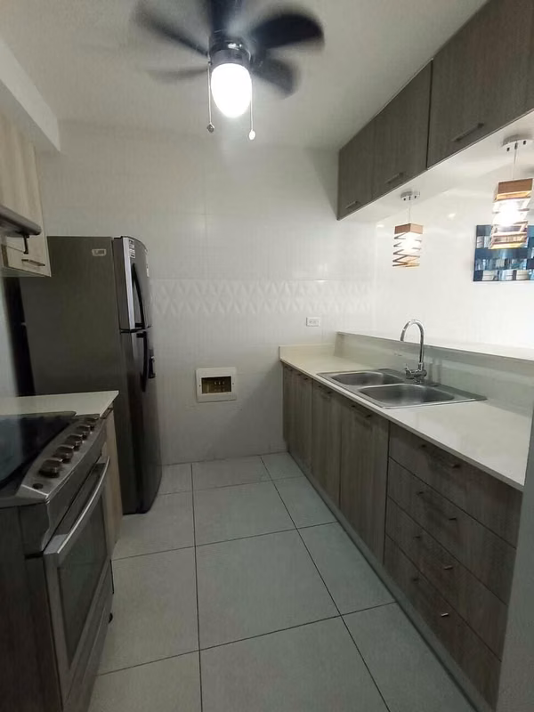PH Vivendi Green Apartment for Amoblado Rental in Edison Park
