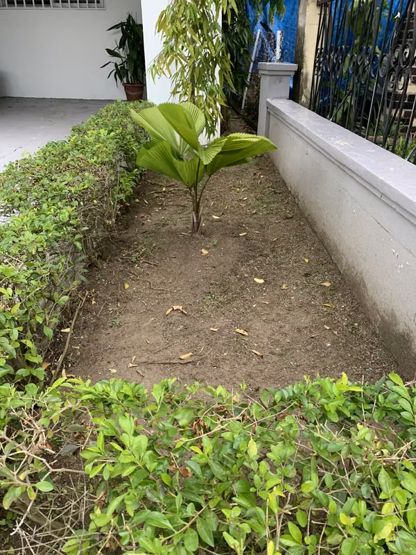PROPIEDAD PARA VENTA EN BETANIA (Sin intermediarios)
