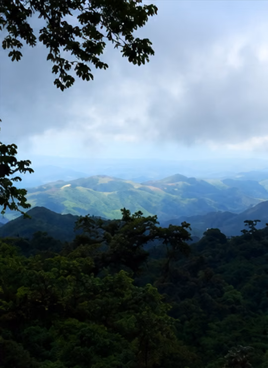 Build the House of its Dreams in Altos del María - Exclusive Mountain Lot of 1,794 m ²
