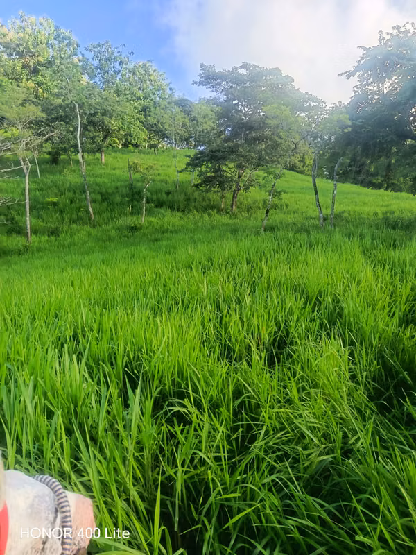 SPECTACULAR SALE ESTATE IN FRONT OF RIVER VIVAL IN FRONT OF PORT VIVAL