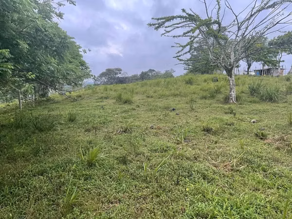 V3ñendo 9.5 has en chorrera