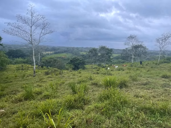 V3ñendo 9.5 has en chorrera
