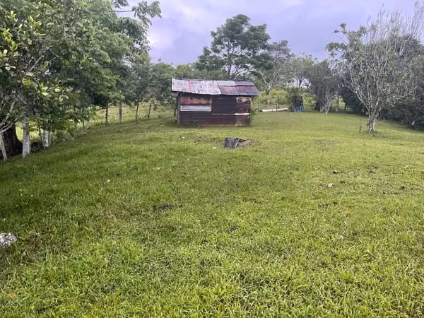 V3ñendo 9.5 has en chorrera