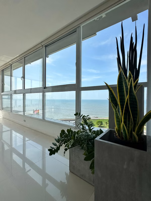 Best Price per m2 in Waterfront Living in Coco del Mar | 416 m² Fully Renovated Apartment